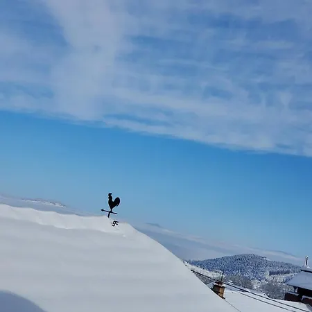 Location Meuble Non Professionnels Apartamento