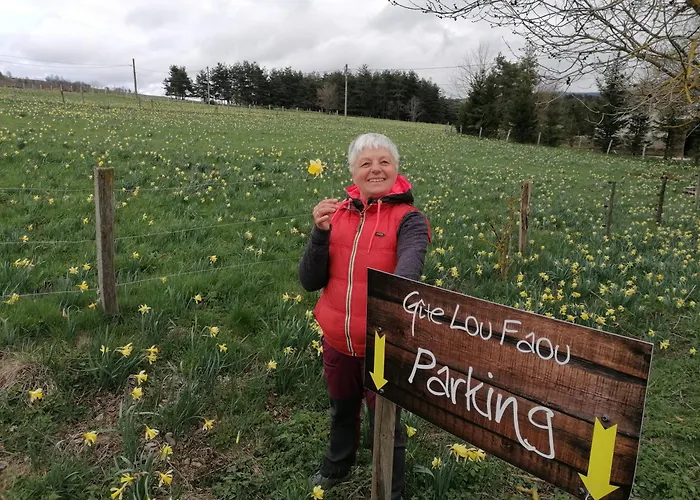 Appartement Location Meuble Non Professionnels *